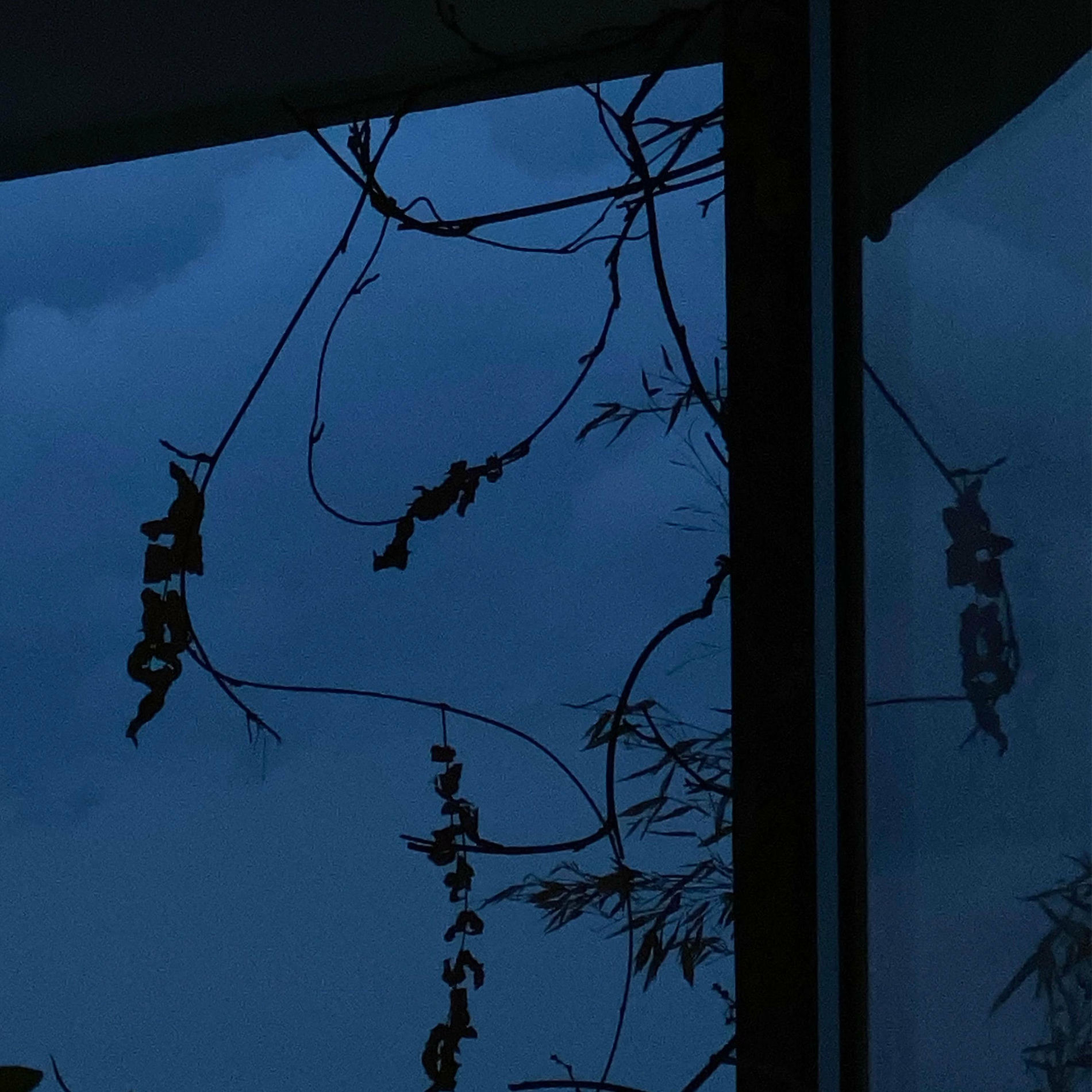 Album cover of story