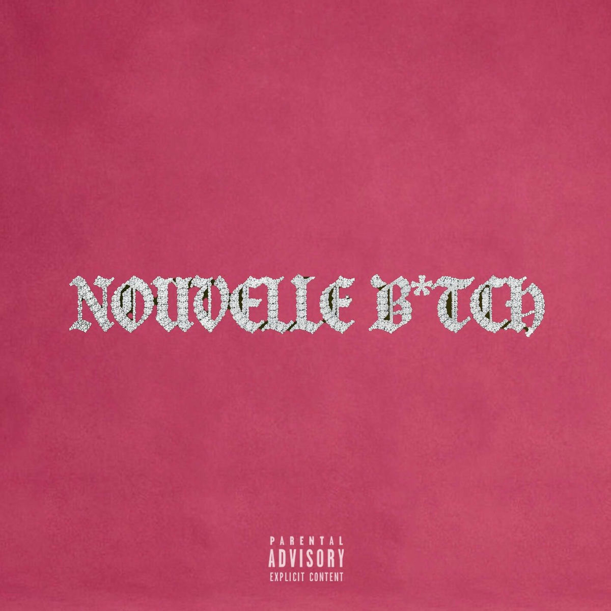 Album cover of Nouvelle B*tch