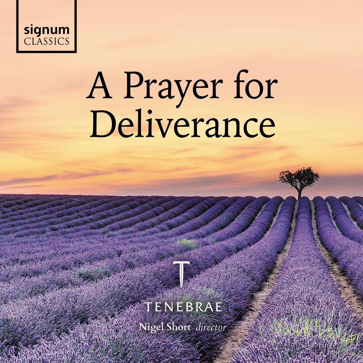 Album cover of Standing as I do before God