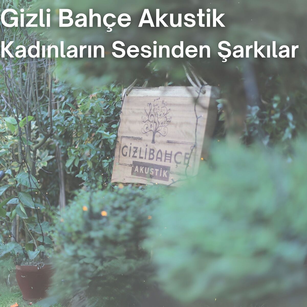 Album cover of Kadınların Sesinden Şarkılar