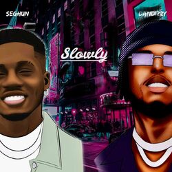 Cover of Slowly
