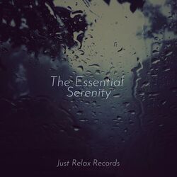 Cover of The Essential Serenity