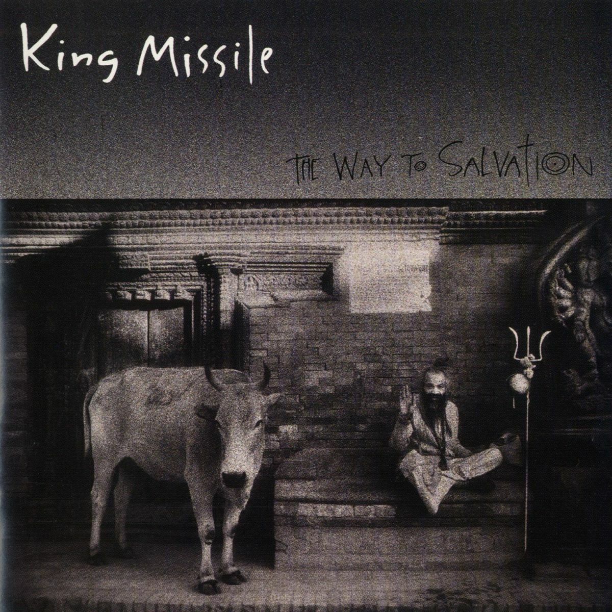 Album cover of The Way To Salvation