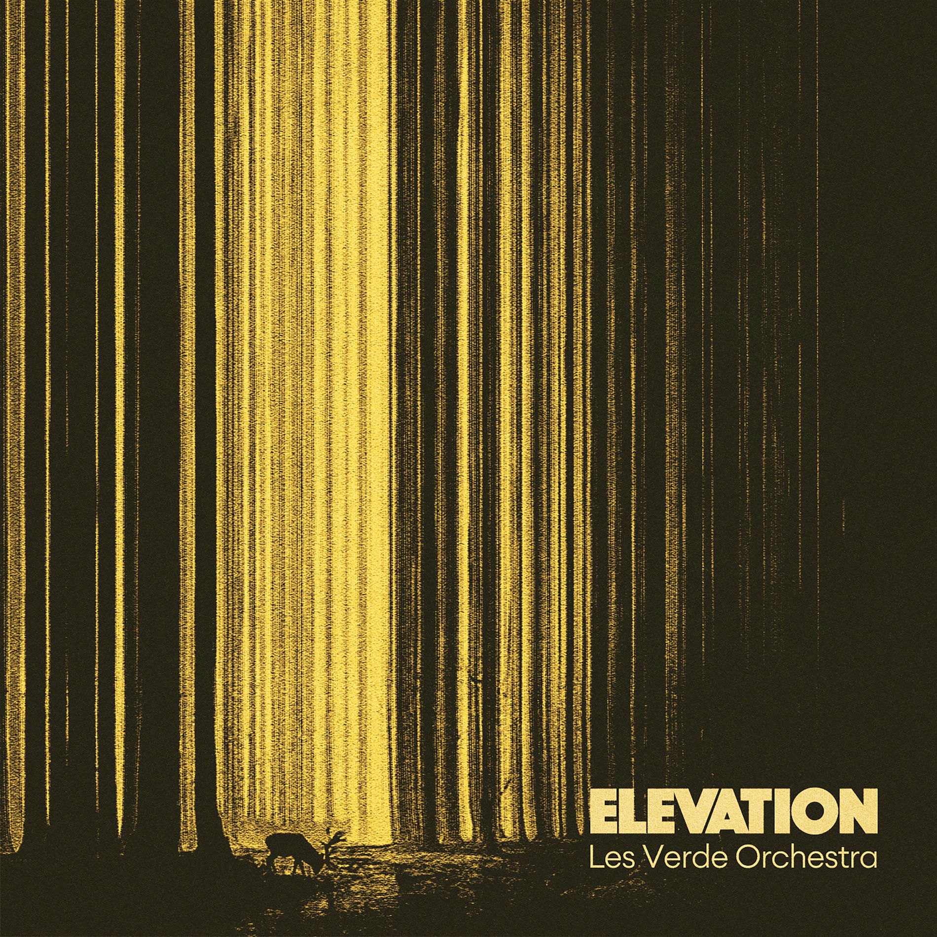 Album cover of Elevation