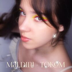 Cover of Током