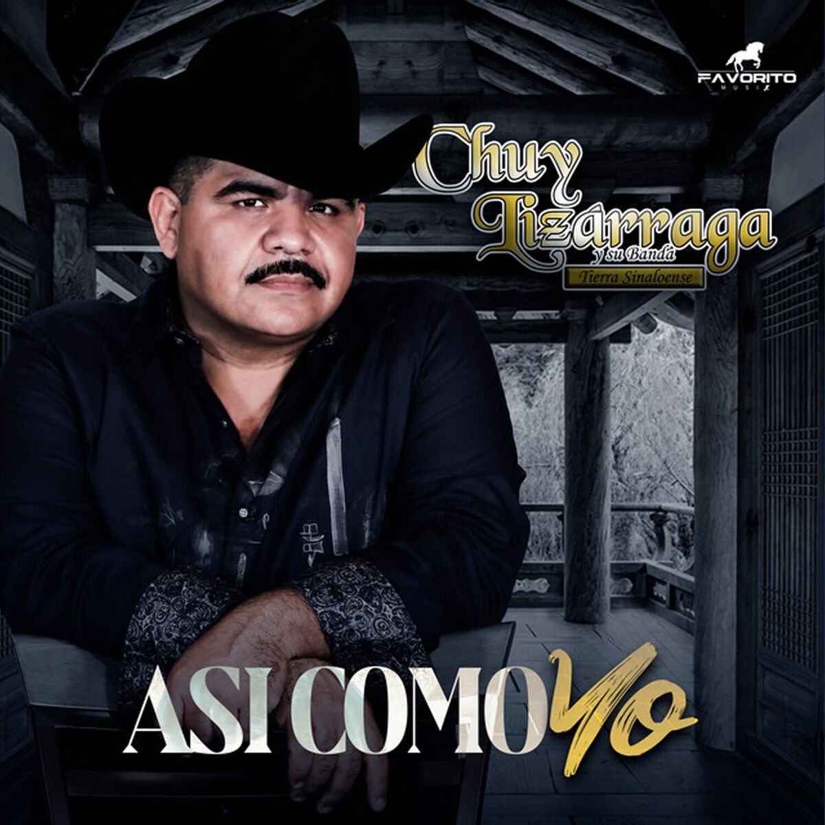 Album cover of Así Como Yo