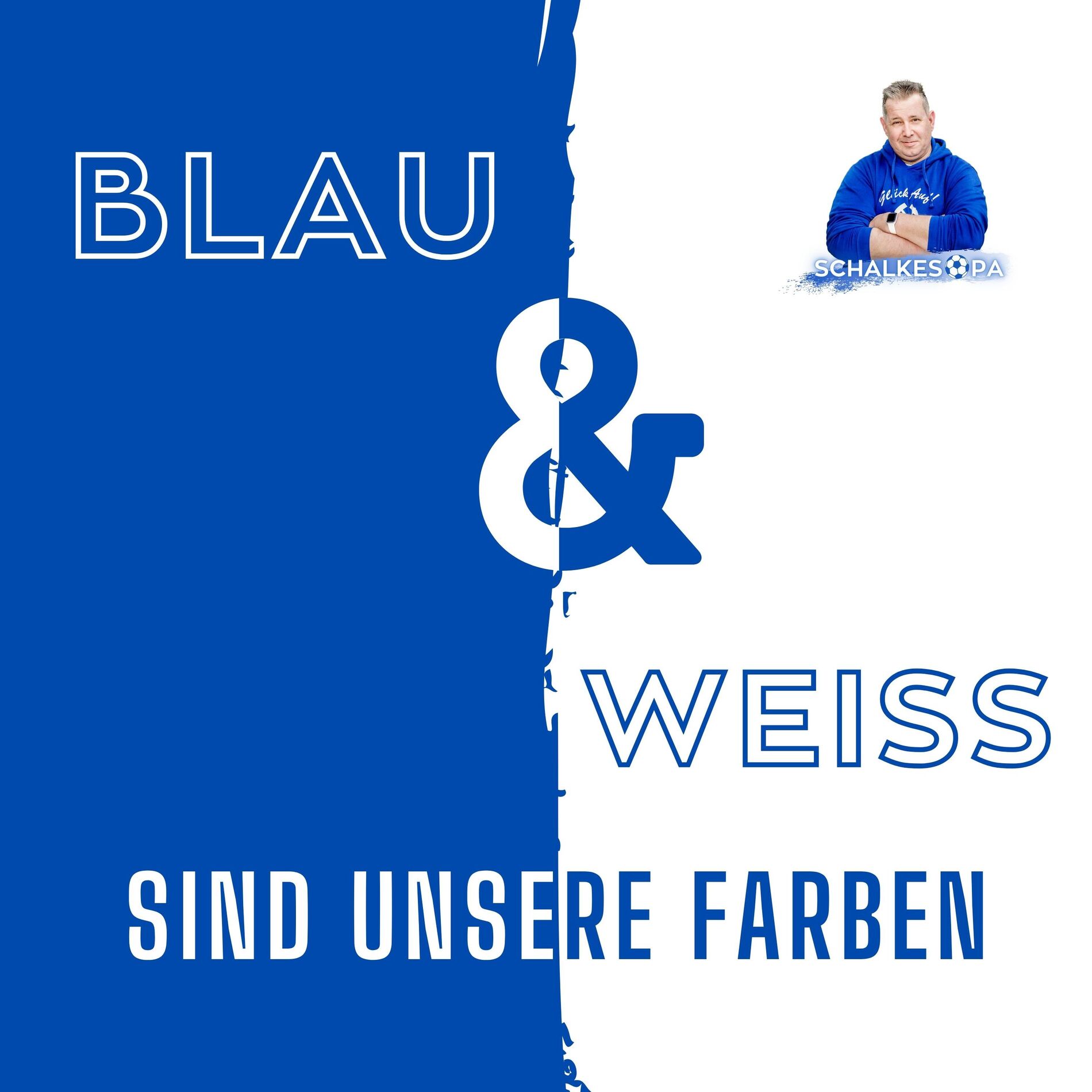 Album cover of Blau & weiss sind unsere Farben