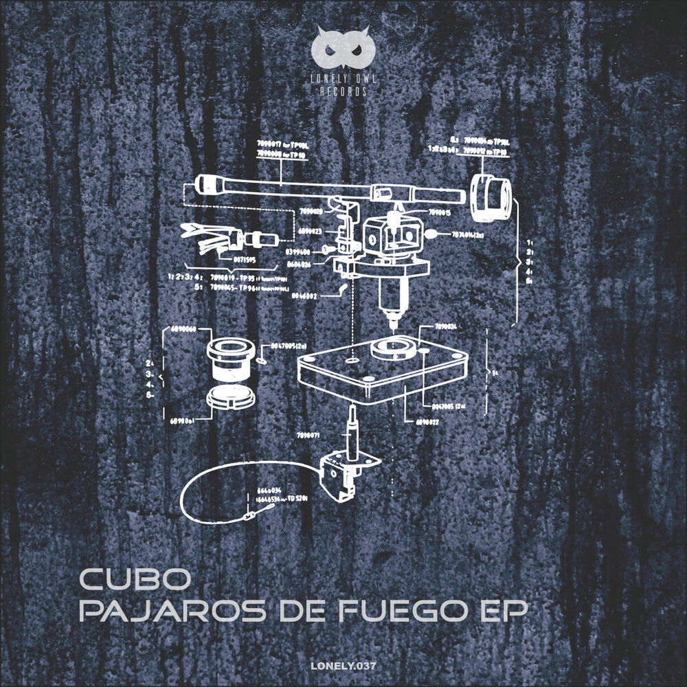 Picture of Pajaros De Fuego EP