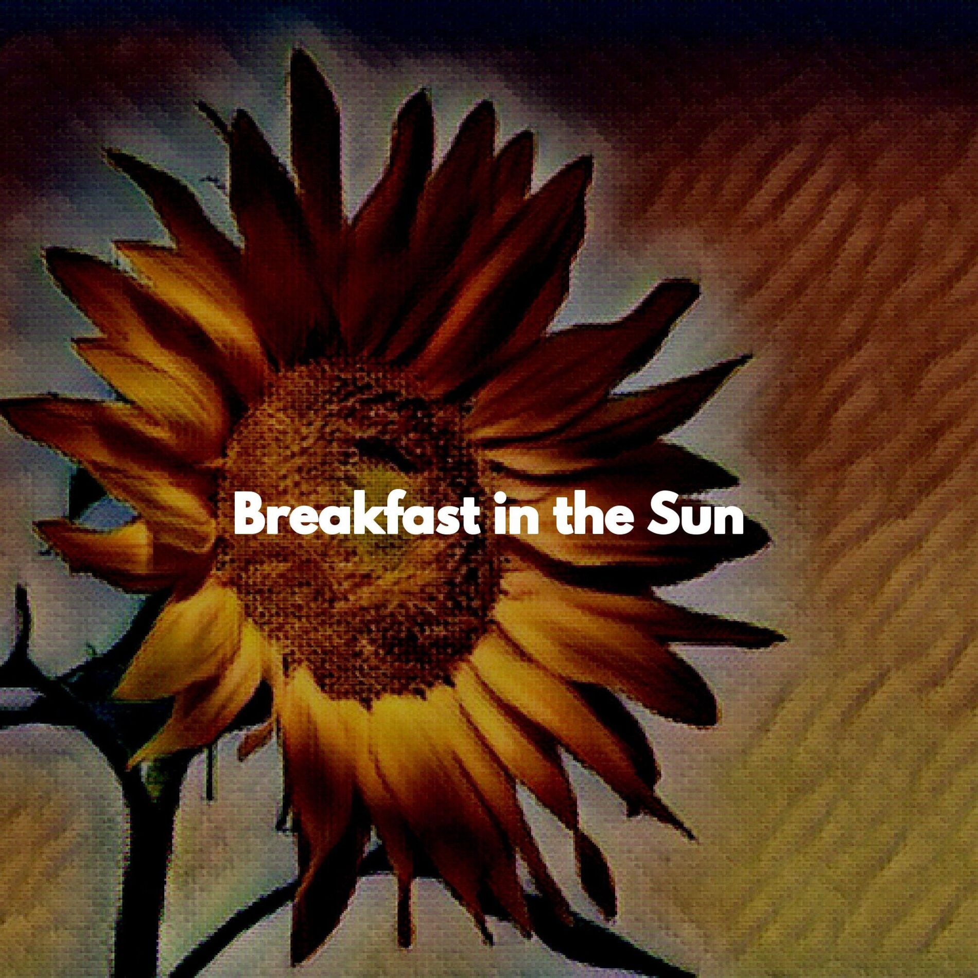 Album cover of Breakfast in the Sun