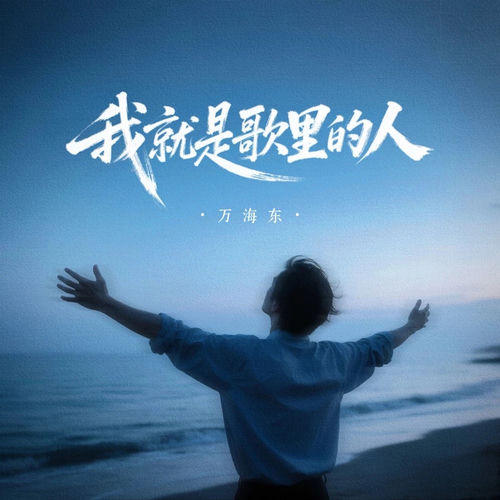 我就是歌里的人