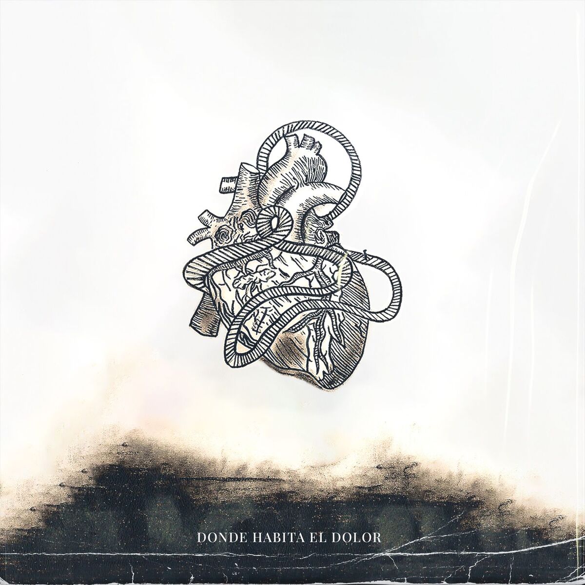 Album cover of Donde Habita El Dolor