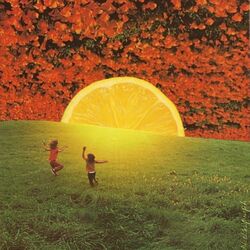 Cover of Apricot