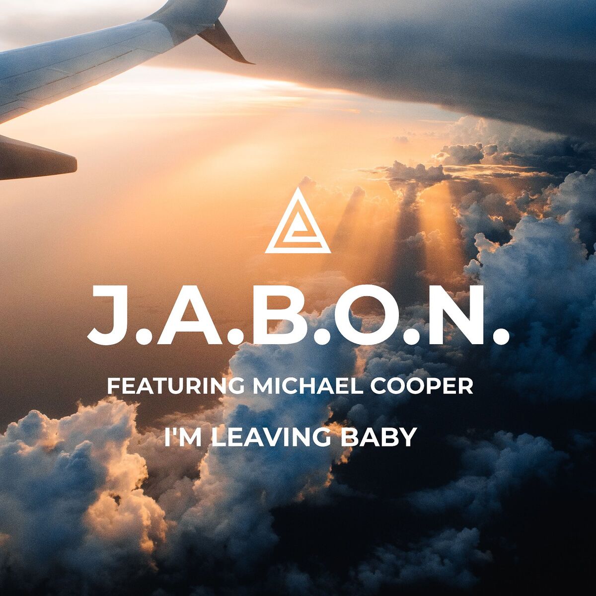 Album cover of I'm Leaving Baby