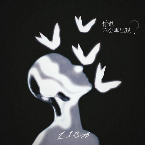 你说不会再出现