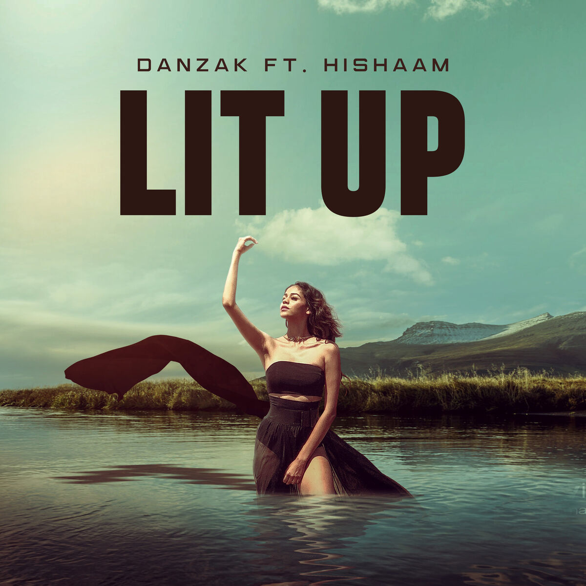 Album cover of Lit Up