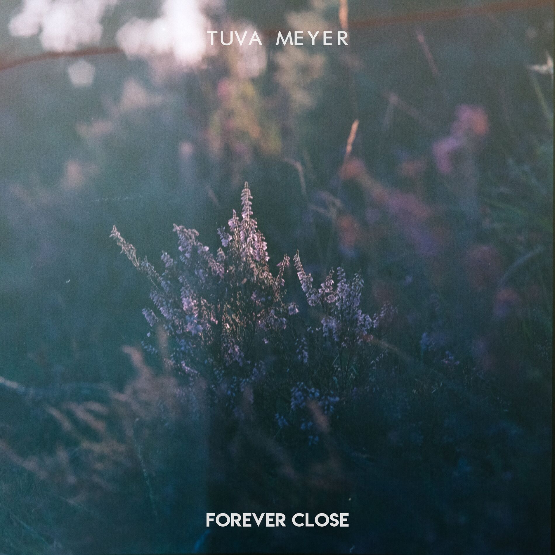 Album cover of Forever close