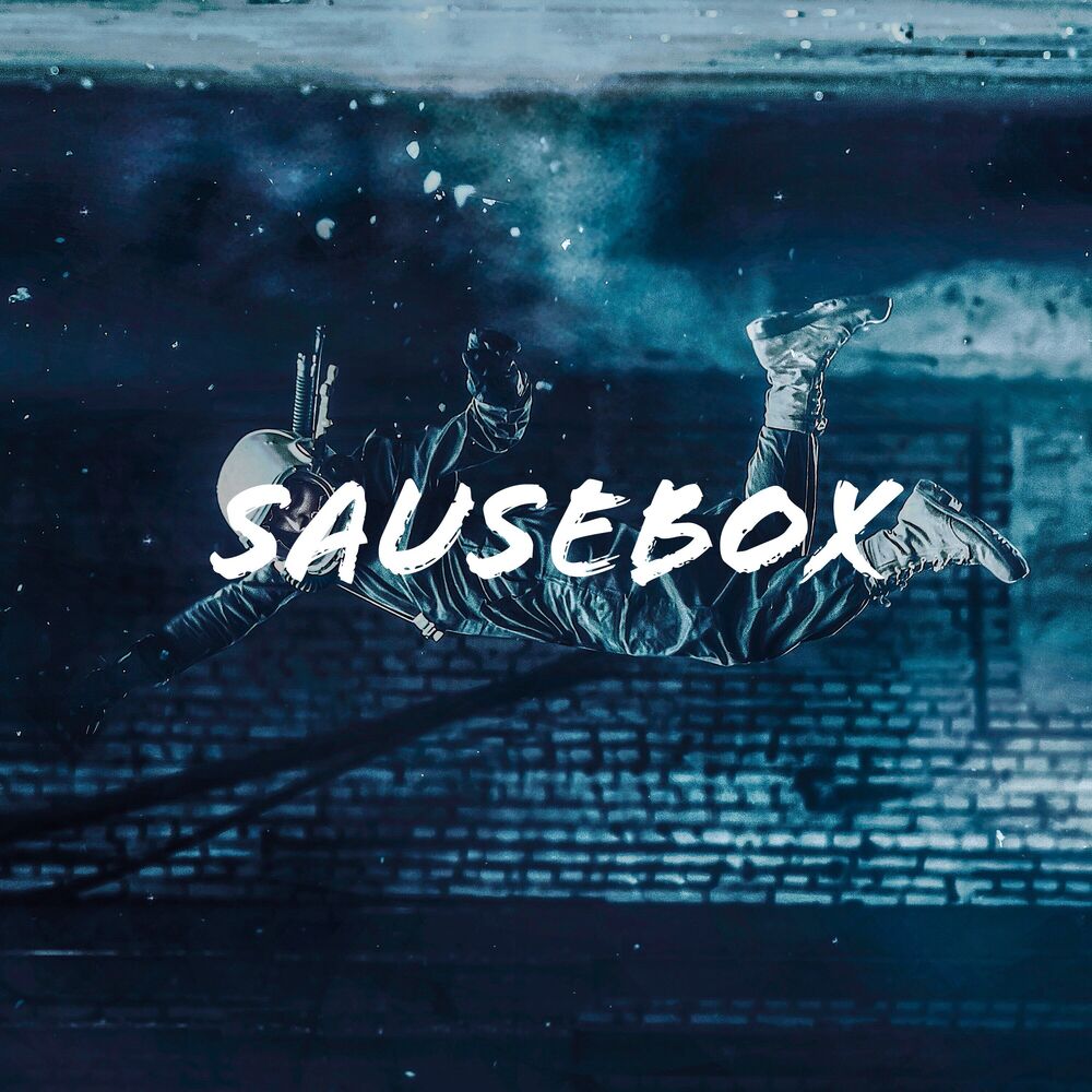 Picture of Sausebox