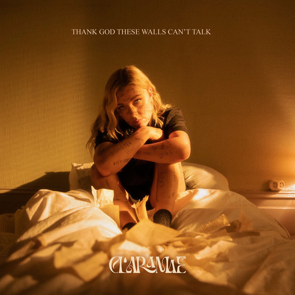 Album cover of Thank God These Walls Can’t Talk