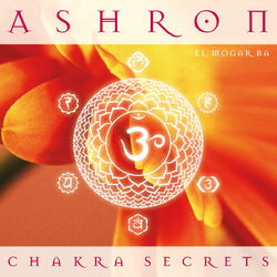 Cover of Chakra Secrets