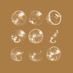Cover of Coins & Crosses