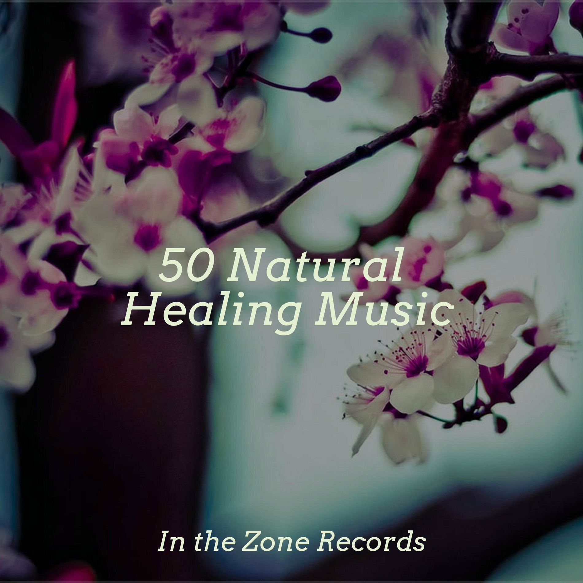Album cover of 50 Natural Healing Music
