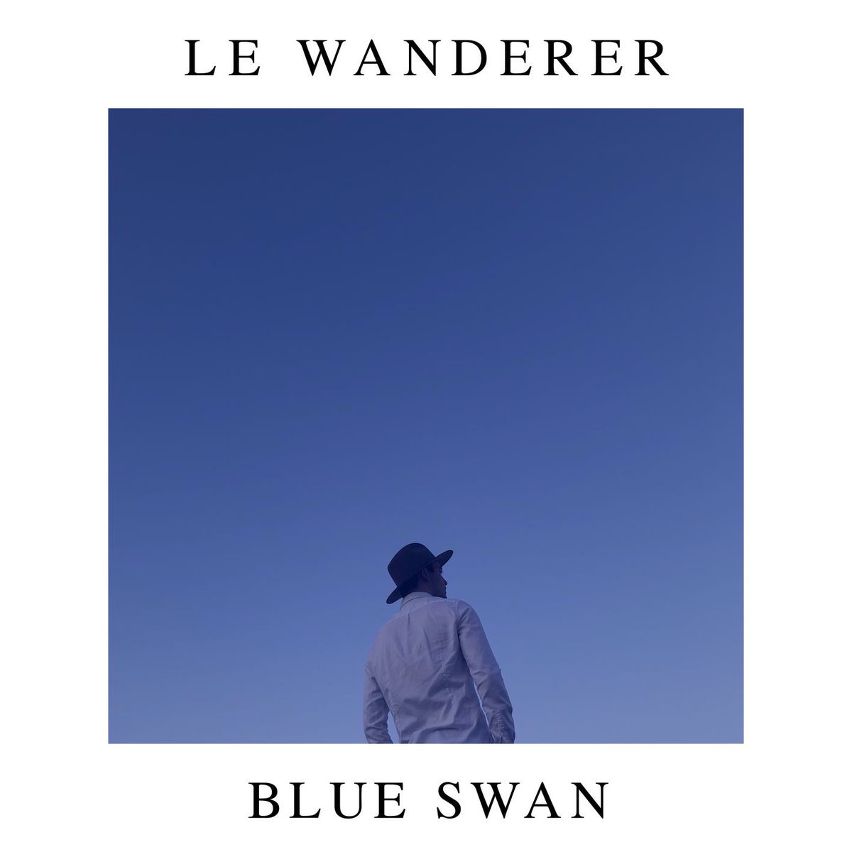 Album cover of Blue Swan