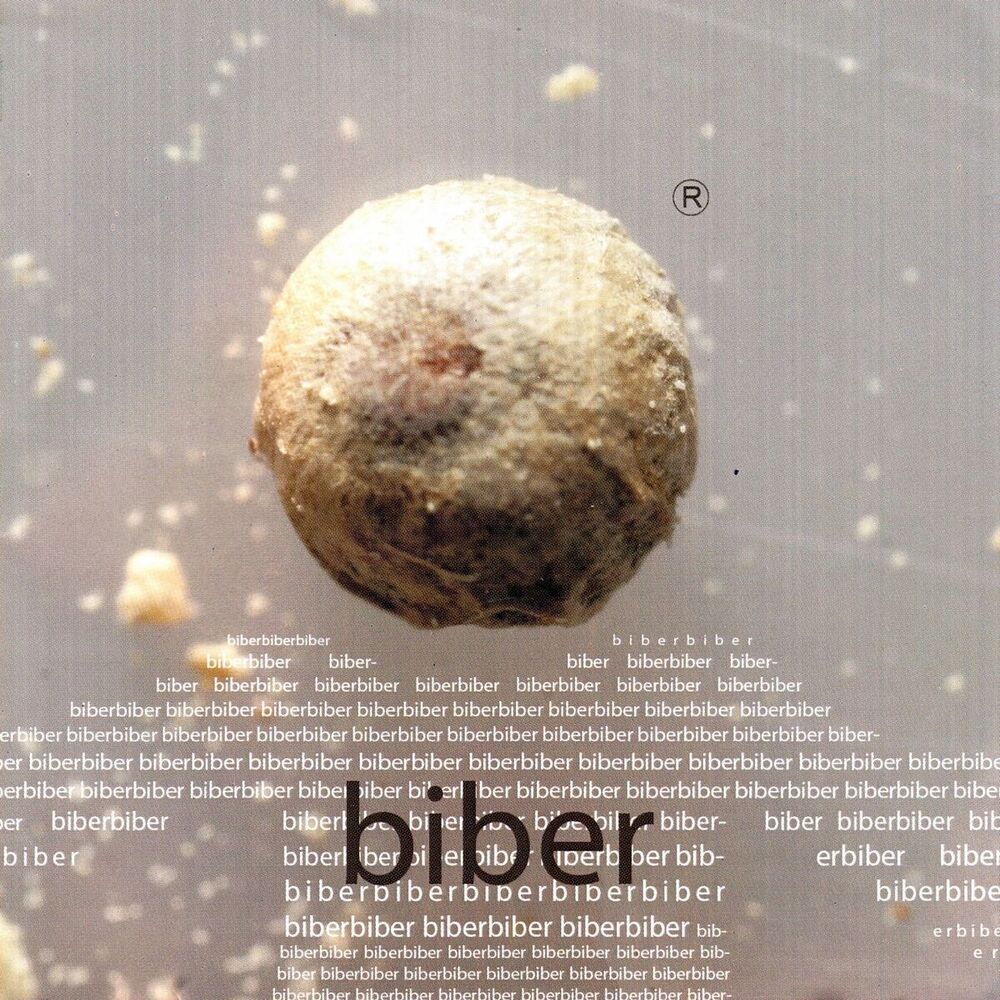 Picture of Biber