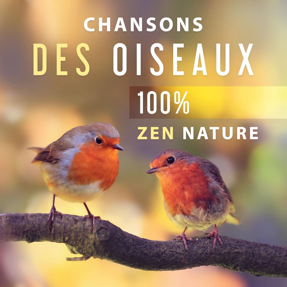 Album cover of Chansons des oiseaux - 100% Zen nature musique pour la détente, Tranquillité, Relaxation et pratique de yoga et méditation