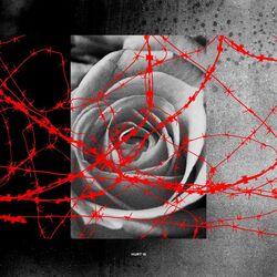 Cover of Hurt Is