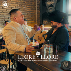 Cover of Llore y Llore