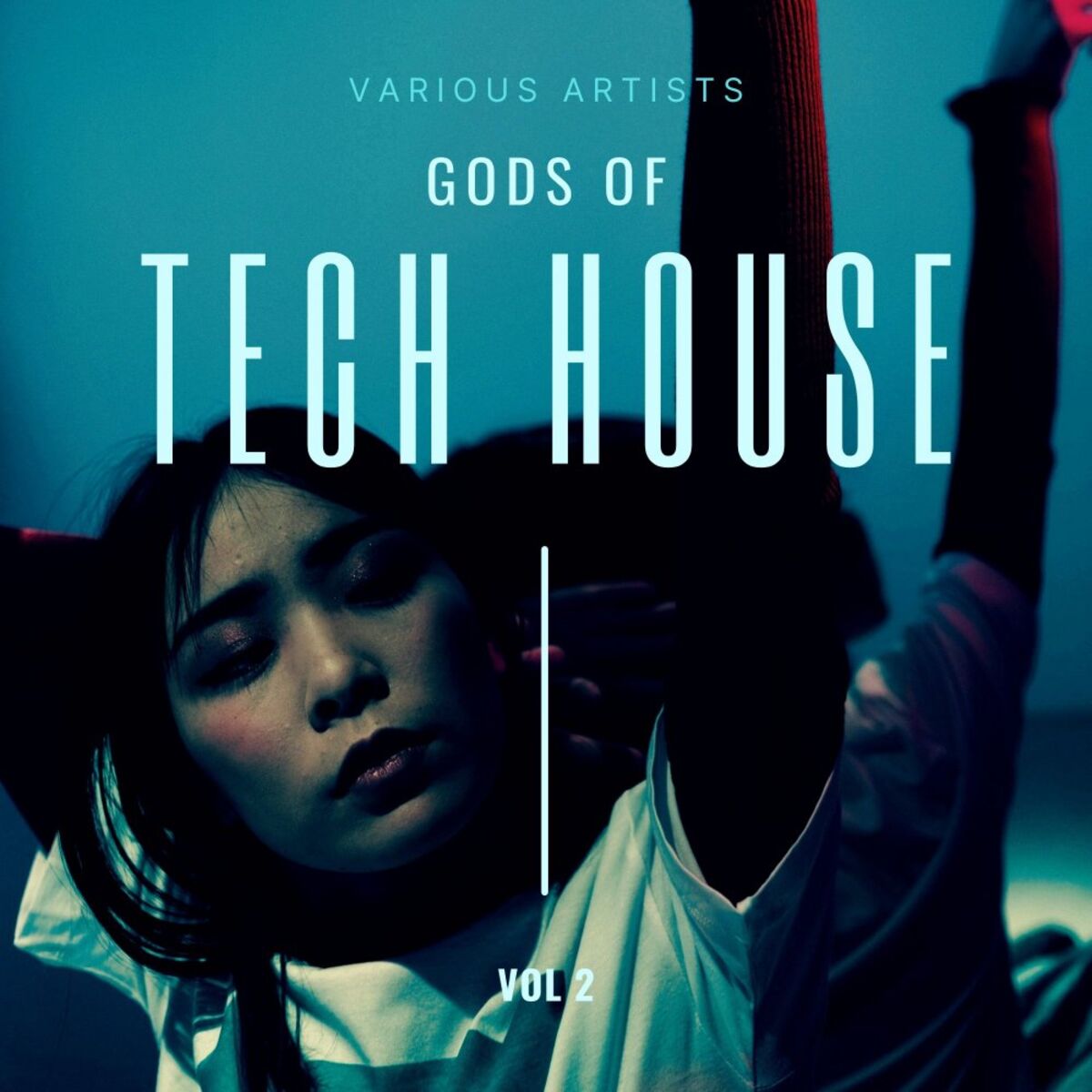 Album cover of Gods of Tech House, Vol. 2