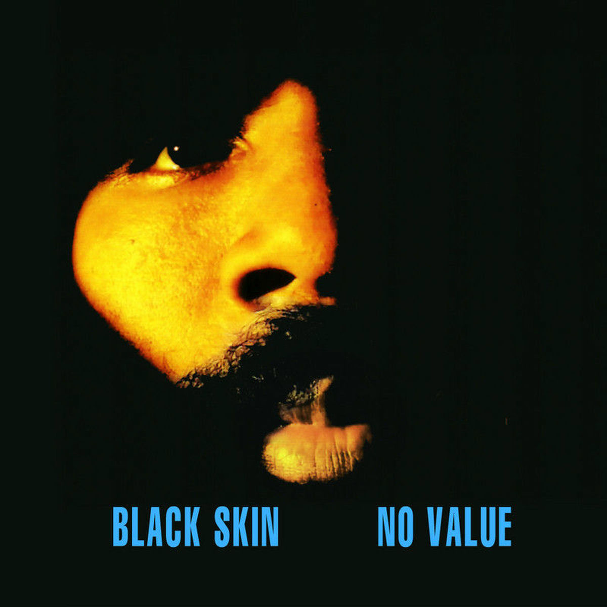 Album cover of Black Skin No Value