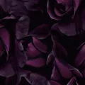 Empty