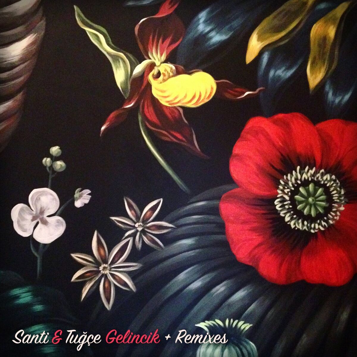 Album cover of Gelincik + Remixes