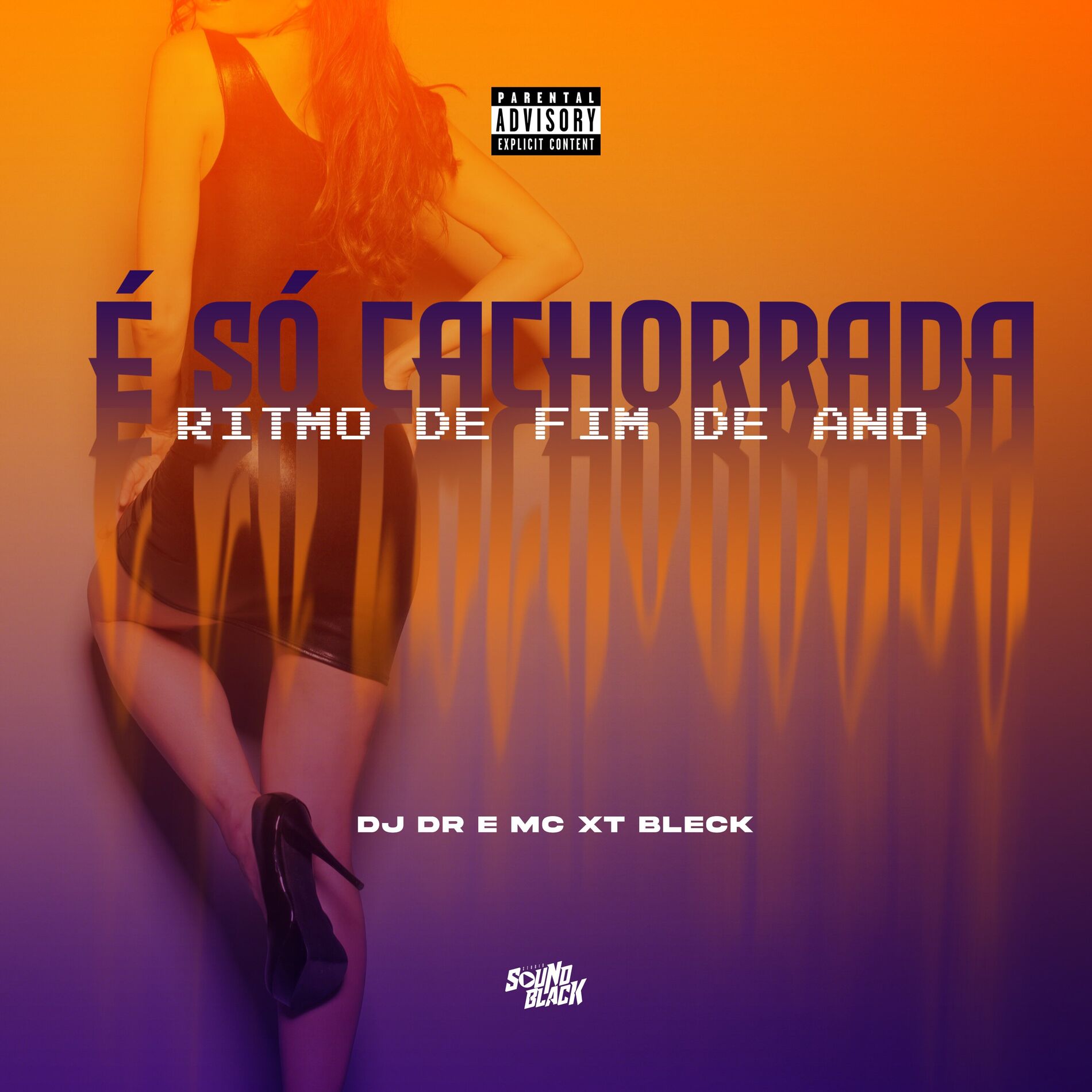 Album cover of É Só Cachorrada - Ritmo de Fim de Ano