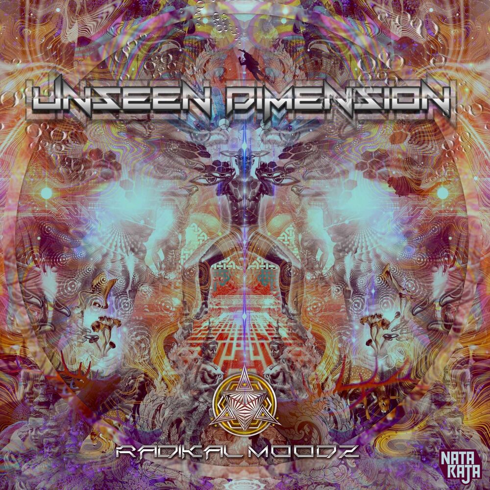 Picture of Unseen Dimensions