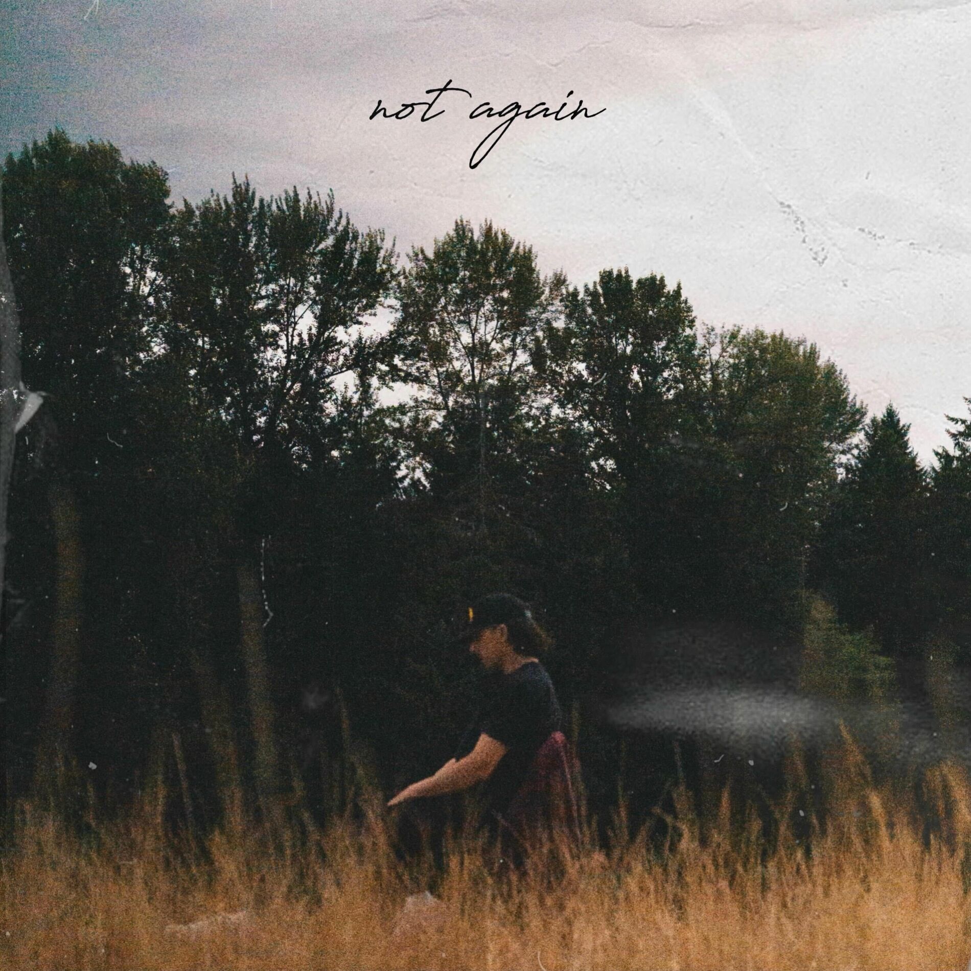 Album cover of not again