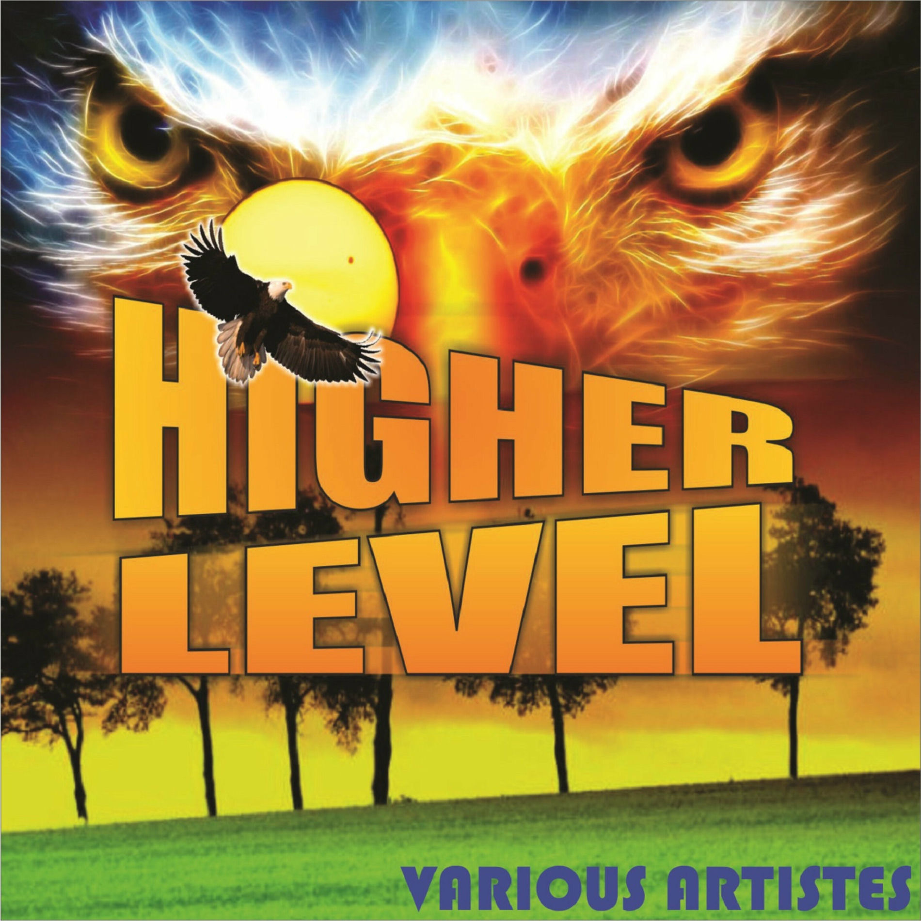 Album cover of Higher Level