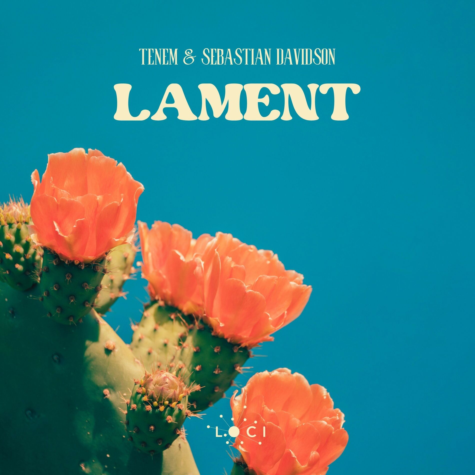 Album cover of Lament
