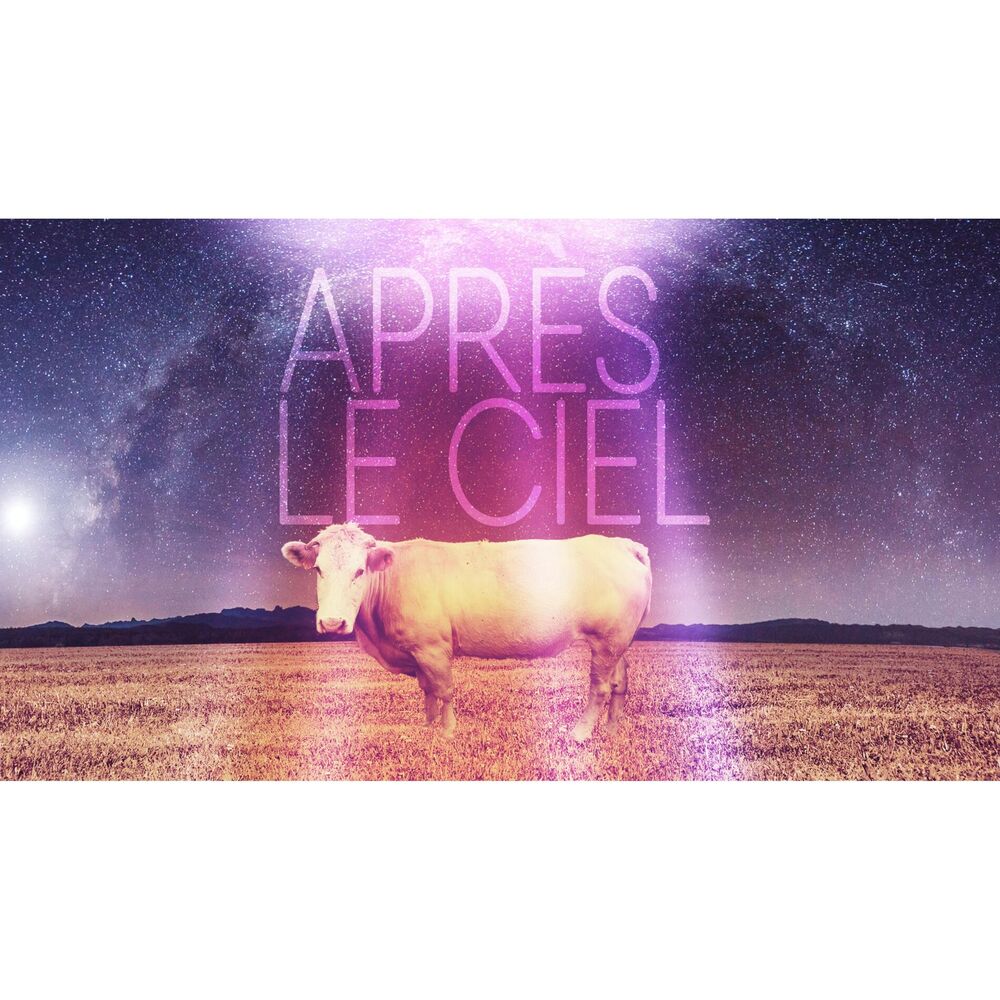 Picture of Après le ciel