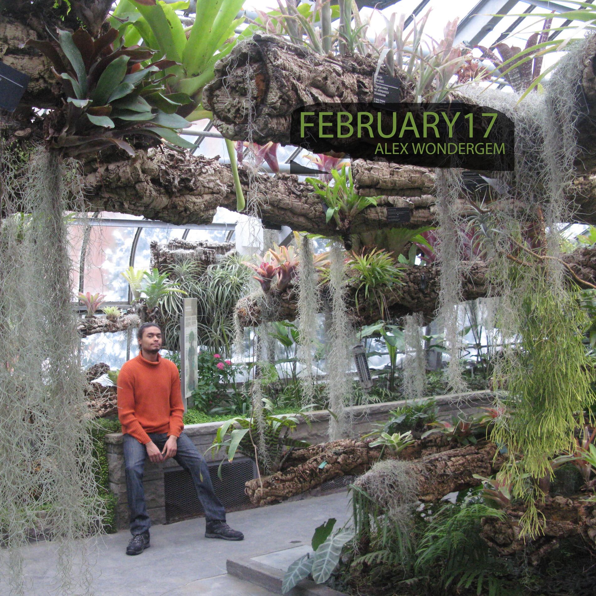 Album cover of February17