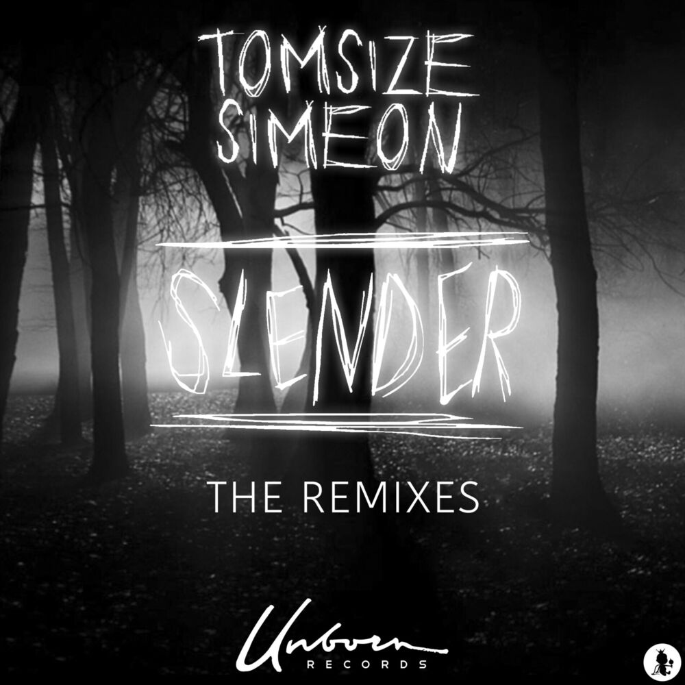 Picture of Slender (Besnine Remix)