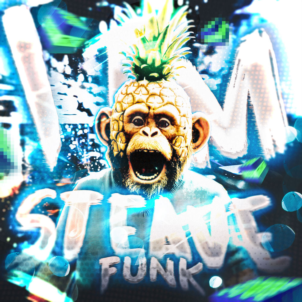 I AM STEAVE FUNK cover