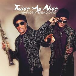 Cover of Twice As Nice