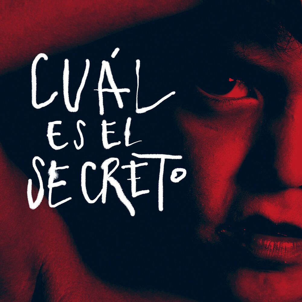 Picture of Cuál es el secreto (Remixes)