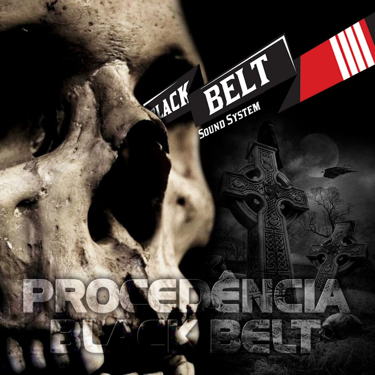 Album cover of Intro - O Jiu Jitsu É o Meu Flow