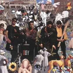 Cover of La Ley