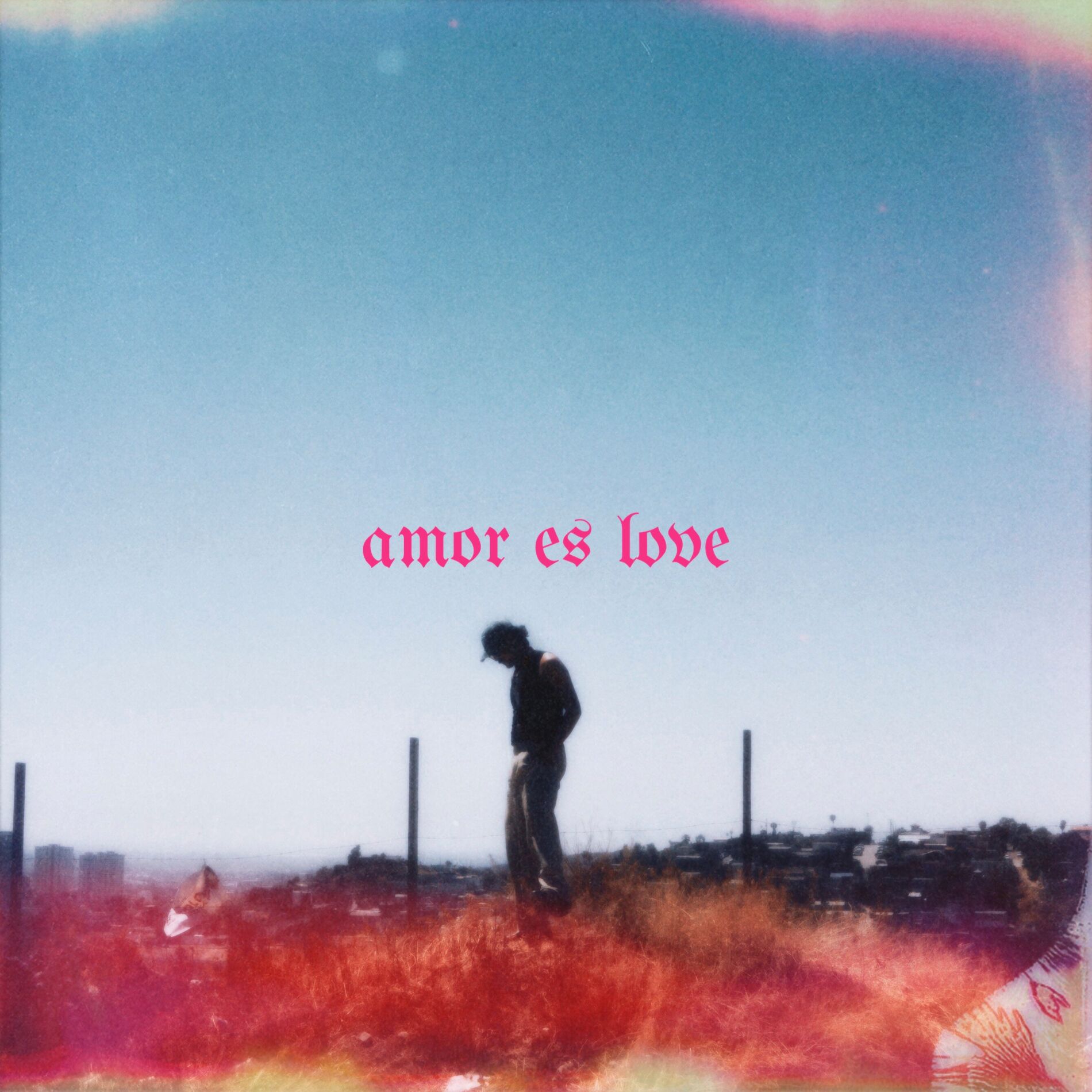 Album cover of amor es love