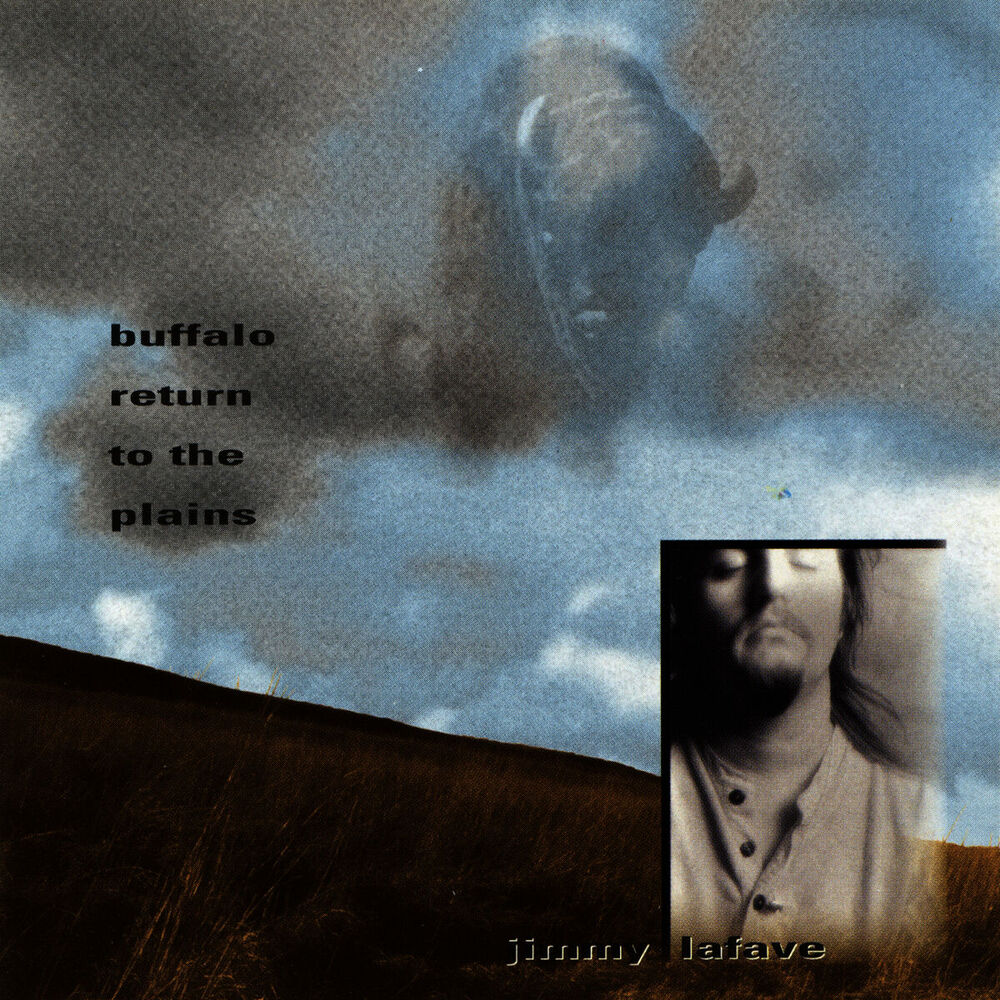 Picture of Buffalo Return to the Plains