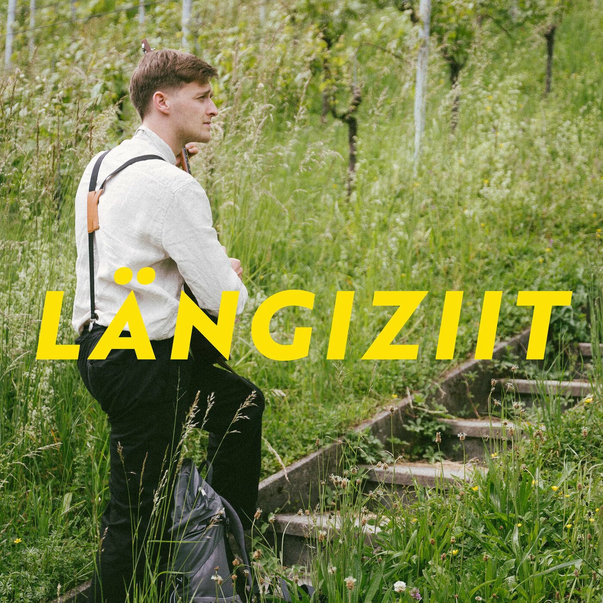 Album cover of Längiziit